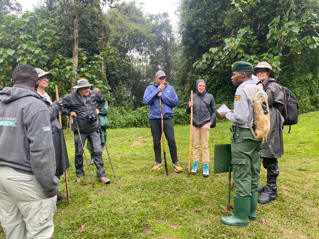 Gorilla Trekking for the Elderly, Seniors, Immobile and Disabled