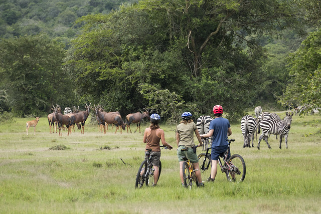 Uganda safari park experiences for our Uganda Safari Blog