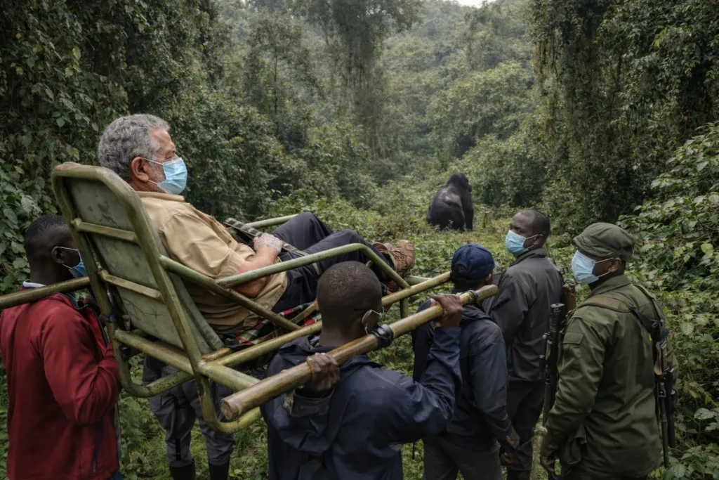 Gorilla Trekking for the Elderly, Seniors, Immobile and Disabled