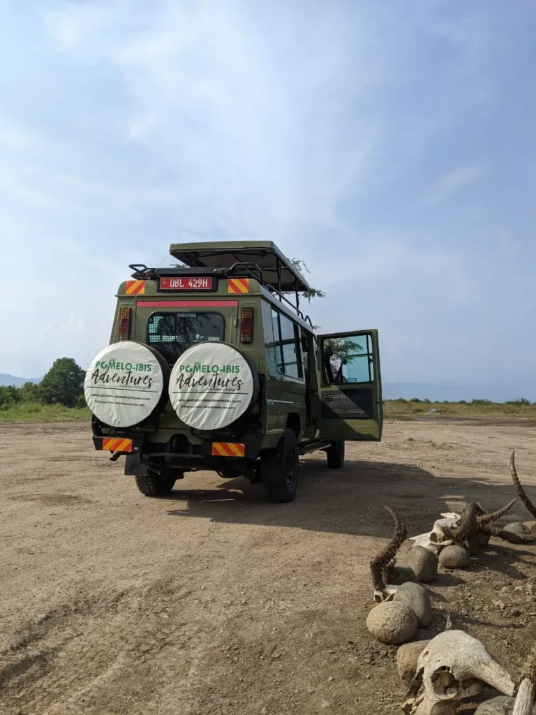 best time for kenya safari